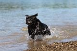 STAFFIE 192